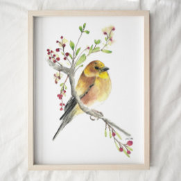 Affiche American Goldfinch Bird Watercolor Art Imprimer
