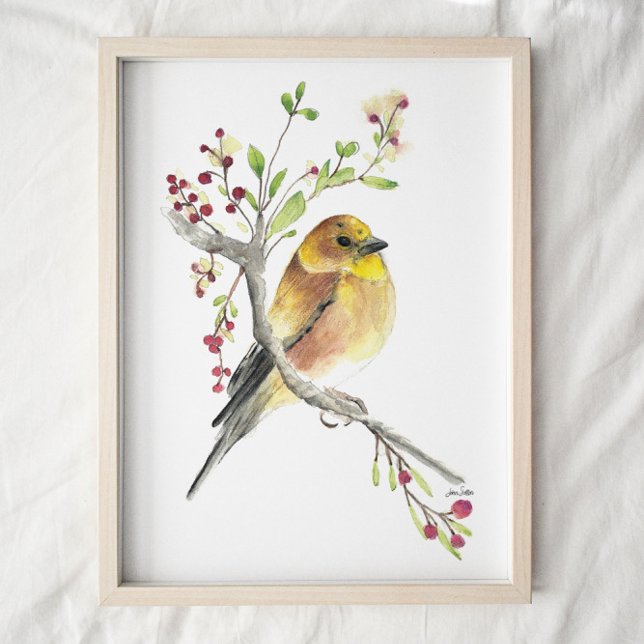 Affiche American Goldfinch Bird Watercolor Art Imprimer (Créateur téléchargé)