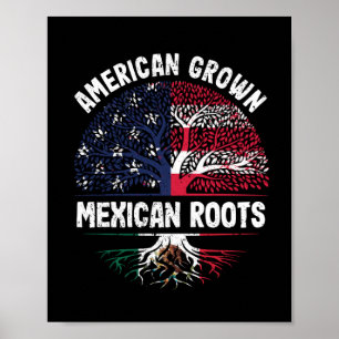 Affiche American Grown Mexican Roots USA Mexico Flag