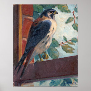 Affiche American Kestrel - Kulhanek Wildlife (1942)