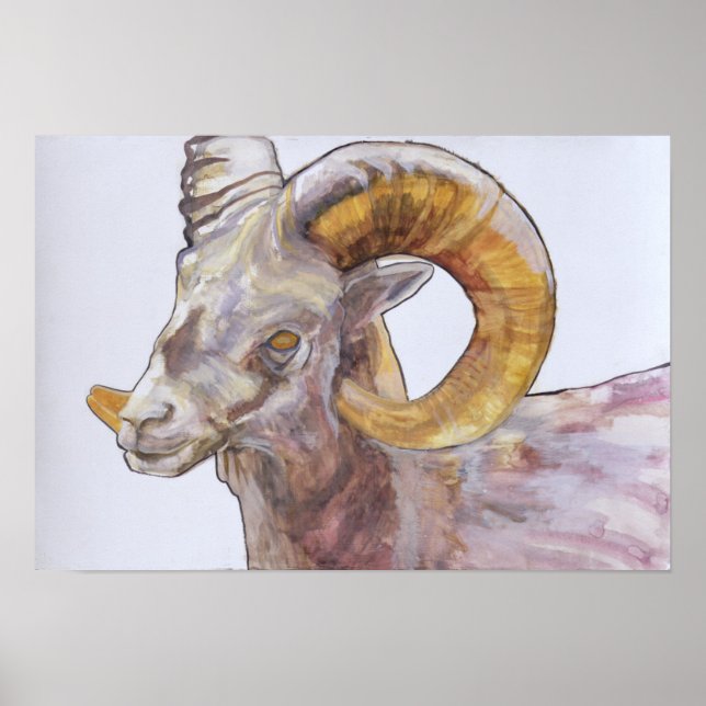 Affiche American Long Horn 2004 (Devant)