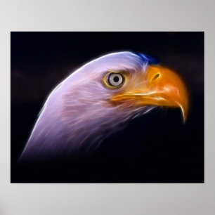 Affiche American Patriotic Bald Eagle, National Symbol