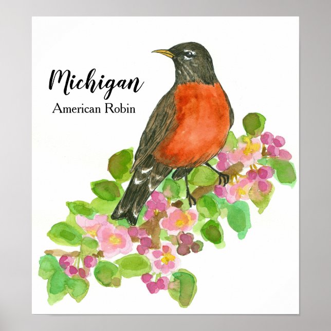 Affiche American Robin Apple Blossom Michigan (Devant)
