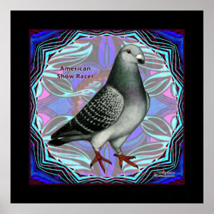 Affiche American Show Racer