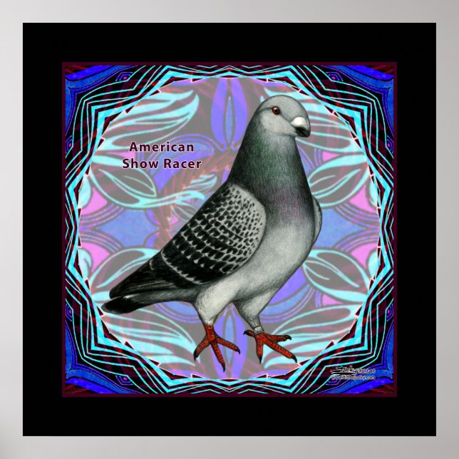 Affiche American Show Racer (Devant)
