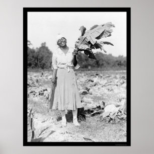 Affiche Amérique africaine Femme avec tabac 1912
