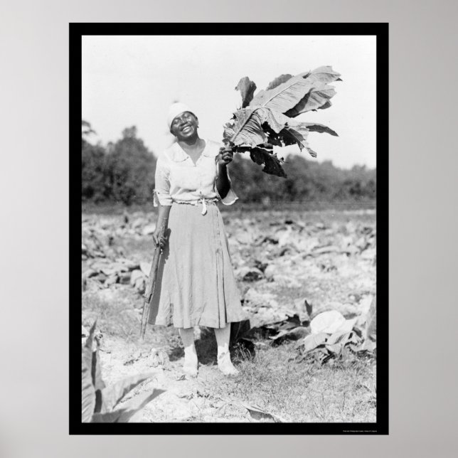 Affiche Amérique africaine Femme avec tabac 1912 (Devant)
