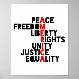 Affiche Amérique anti-Trump Signification1
