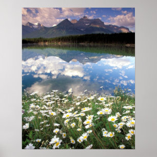 Affiche Amérique du Nord, Canada, Alberta, Parc national d
