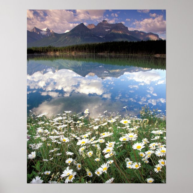 Affiche Amérique du Nord, Canada, Alberta, Parc national d (Devant)