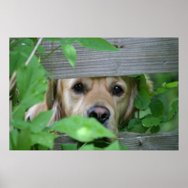 Affiche Ami (Devant)