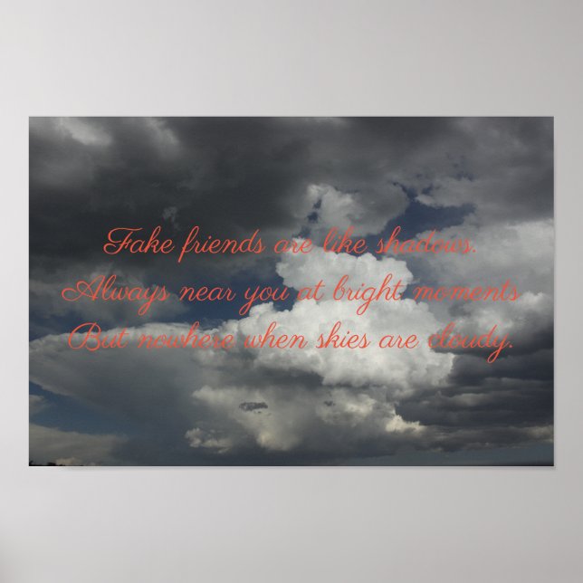 Affiche Amis Faux (Devant)