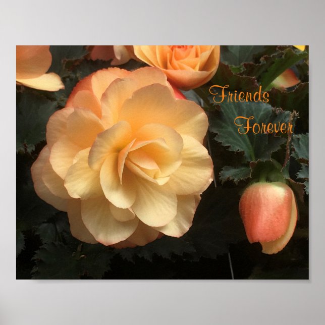 Affiche Amis pour toujours (Devant)