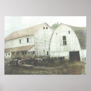 Affiche Amish