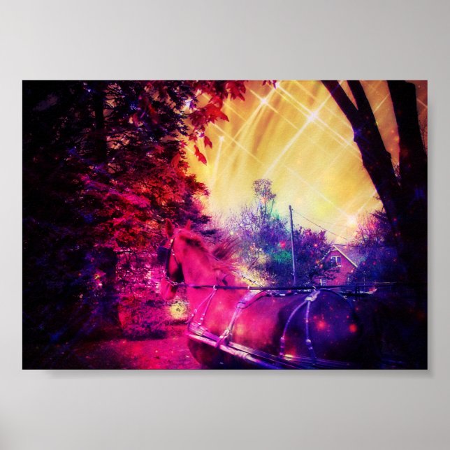 Affiche Amish Horse Fun (Devant)