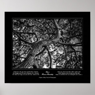 Affiche Amitié pour toujours, Pin canadien, Art