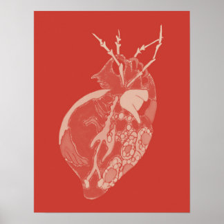 Affiche Amoeba Minx : Rouge Balm