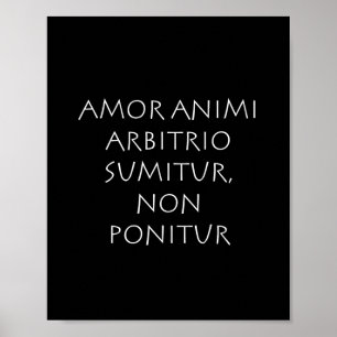 Affiche Amor