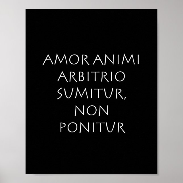 Affiche Amor (Devant)