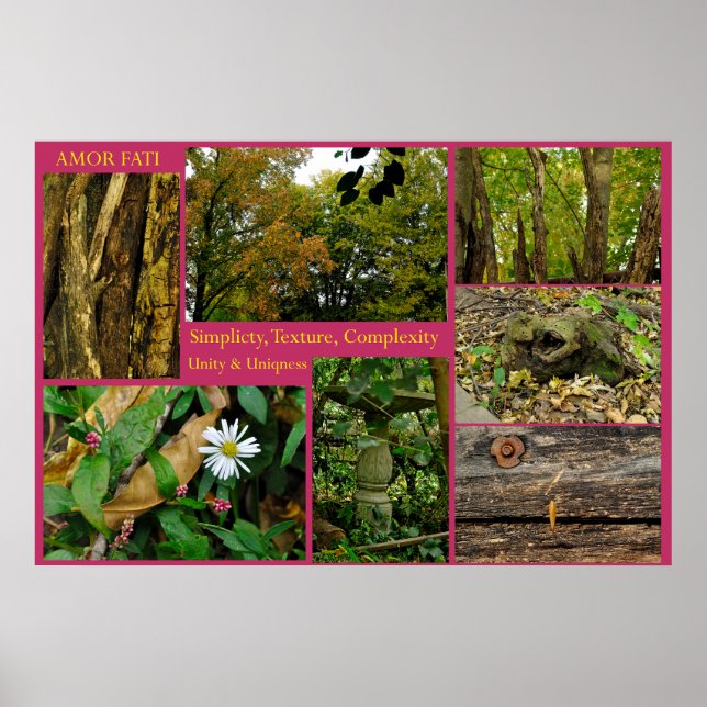 Affiche Amor Fati (Devant)