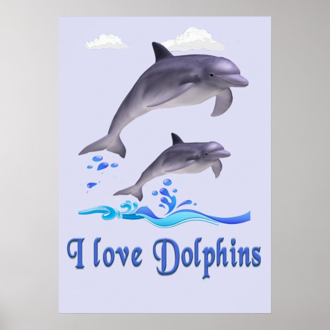 Affiche Amour de dauphin (Devant)