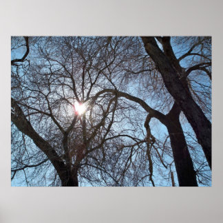 Affiche Amour de la nature