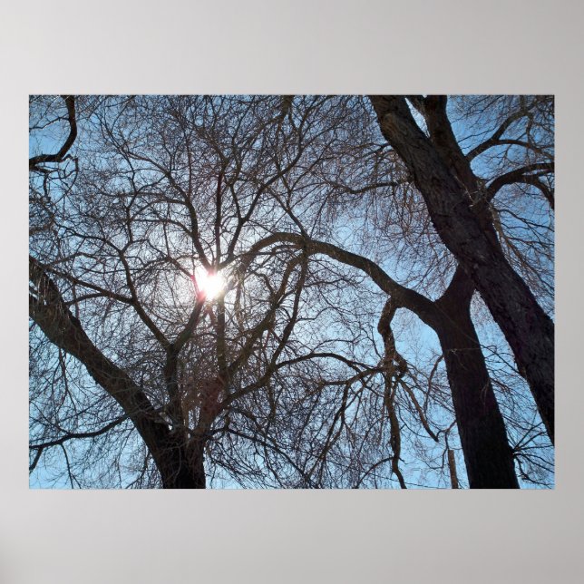 Affiche Amour de la nature (Devant)