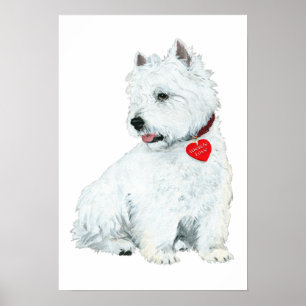 Affiche Amour de Westie
