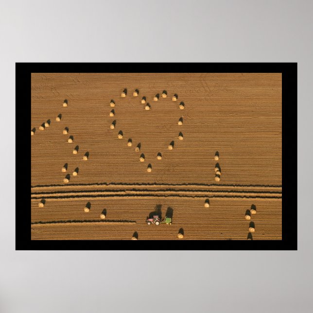 Affiche Amour d'été (Devant)