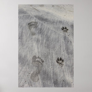 Affiche Amour écrit sur le sable