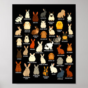 Affiche Amoureux de lapin mignon éleveur de lapin