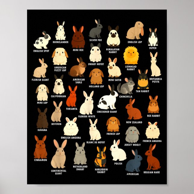 Affiche Amoureux de lapin mignon éleveur de lapin (Devant)