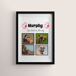 Affiche Amoureux des chiens animal 4 photo collage customi