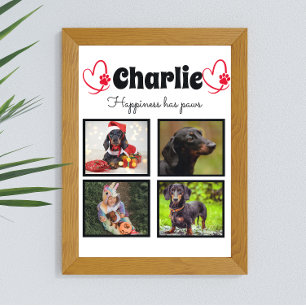 Affiche Amoureux des chiens personnalisé 4 photo collage