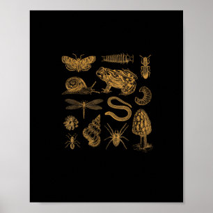 Affiche Amoureux vintage de grenouille champignon papillon