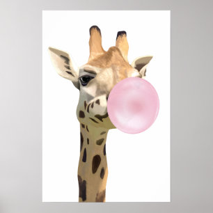 Affiche Amusant Animal Design rose Bubblegum souffler Gira