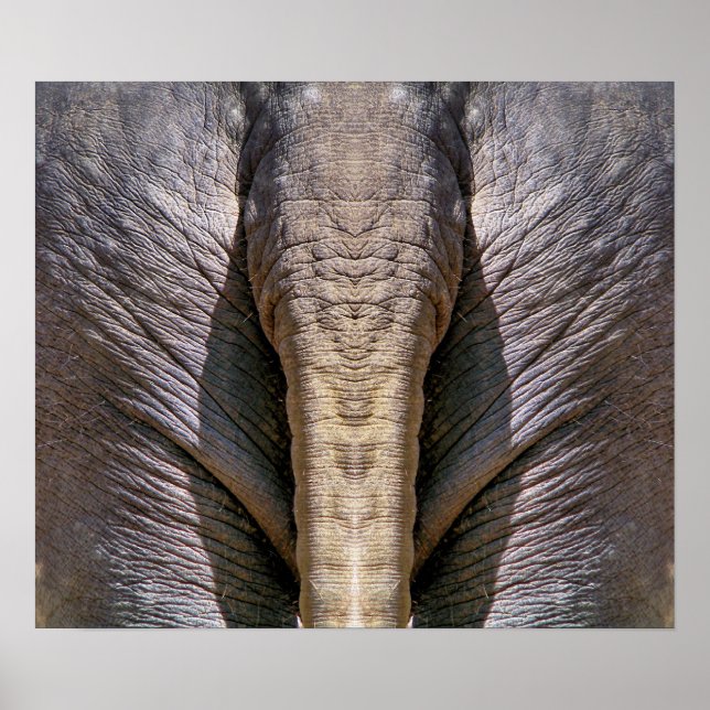 AFFICHE AMUSANT ÉLÉPHANT (Devant)