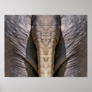 AFFICHE AMUSANT ÉLÉPHANT