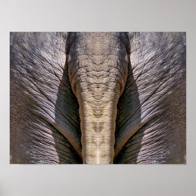 AFFICHE AMUSANT ÉLÉPHANT (Devant)