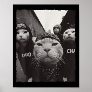 Affiche Amusant Graphisme Chat Gangster Funny