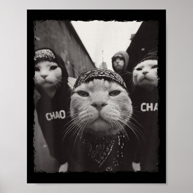 Affiche Amusant Graphisme Chat Gangster Funny (Devant)