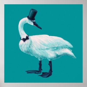 Affiche Amusant observation des oiseaux de cygne