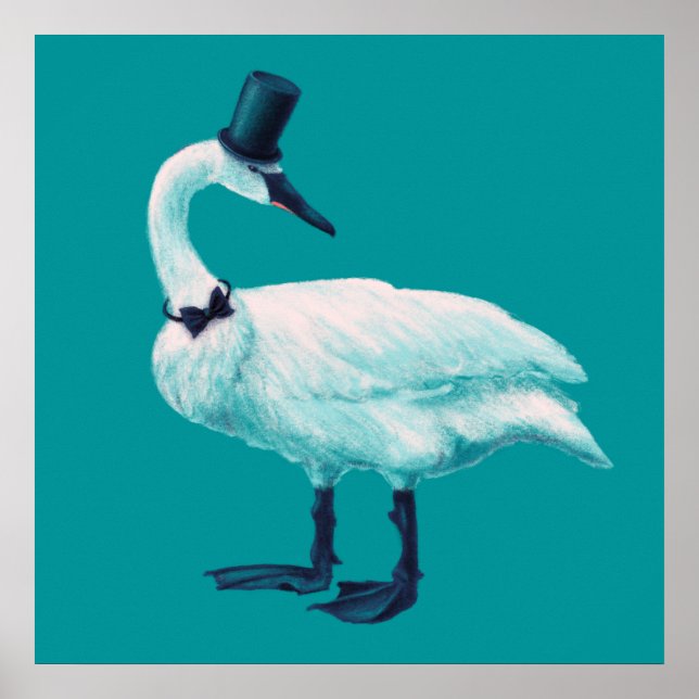 Affiche Amusant observation des oiseaux de cygne (Devant)