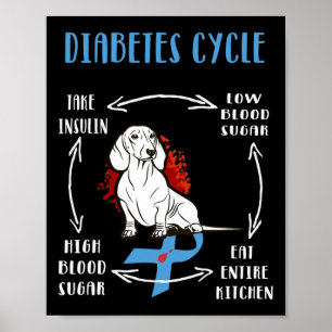 Affiche Amusants Dachshund Diabétique Cycle de vie Diabète