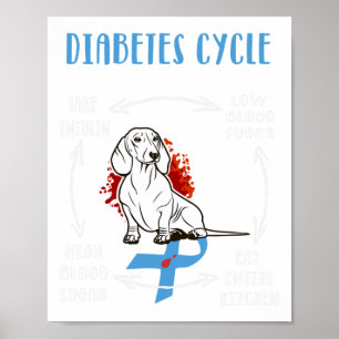 Affiche Amusants Dachshund Diabétique Cycle de vie Diabète