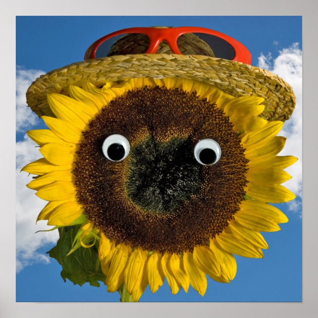 Affiche Amusement d'été Tournesol (Devant)