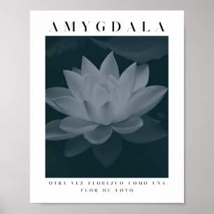 Affiche AMYGDALA - FLEUVE LOTUS, Palette Grise, Vintage