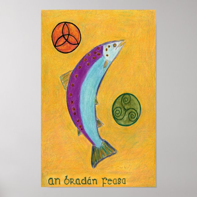 Affiche An Bradan Feasa (Devant)