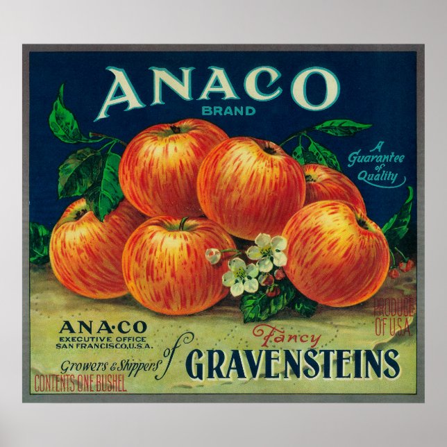 Affiche Anaco Apple Étiquette (Devant)