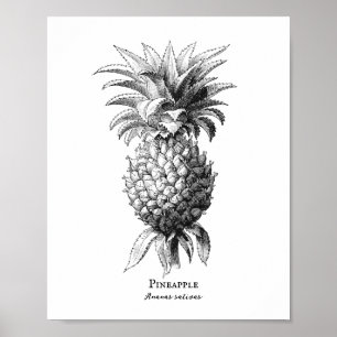 Affiche Ananas